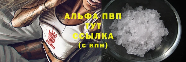 шишки Богданович
