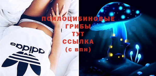 шишки Богданович