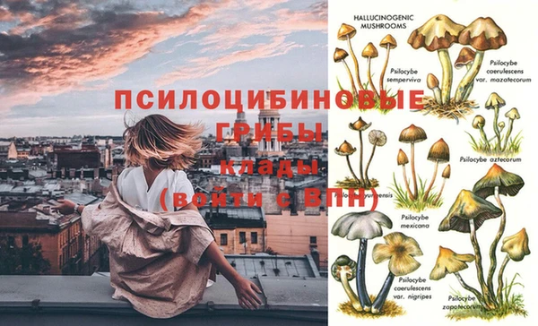шишки Богданович