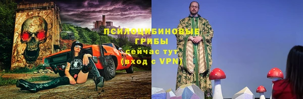 шишки Богданович