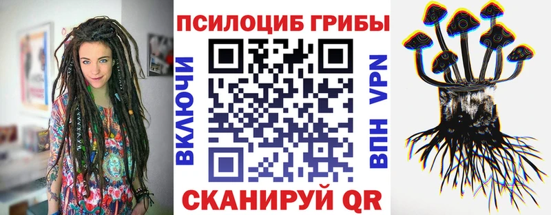 Псилоцибиновые грибы Psilocybine cubensis  Пестово 